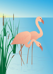 Pink flamingos on lake with canes