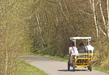 Obraz premium ROSALIE SUR UNE VOIE VERTE