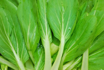 Green leafy vegetables