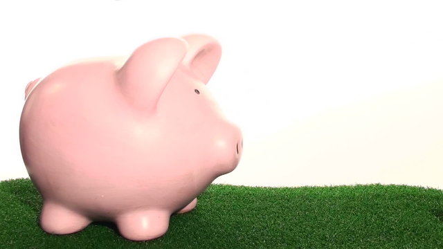 Piggy bank on gress loop - HD