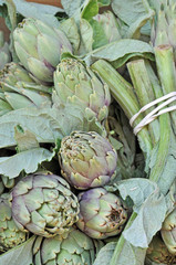 artichauts du march&eacute;