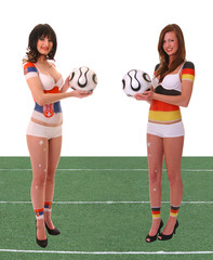 WM 2010 Spiel Serbien - Deutschland mit Rasen