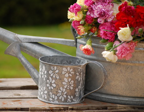 arrosoir et oeillets