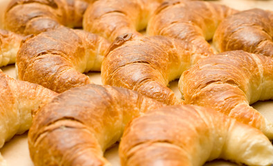 Breakfast - group of tasty crescent rolls