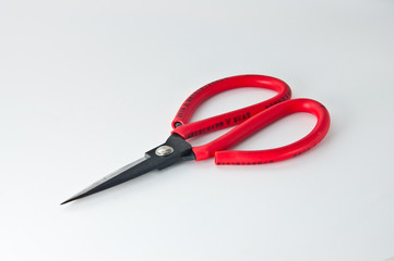 Pair of Scissors