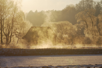 Foggy winter scenic