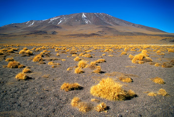 altiplano