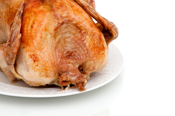 Whole turkey on white background