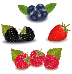 Raspberries, blueberries, blackberries and strawberry