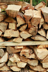 legno tagliato