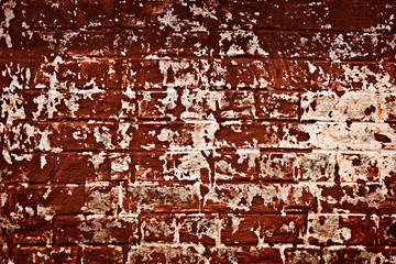 Brick wall texture