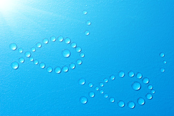 two fishes underwater in sunny weather