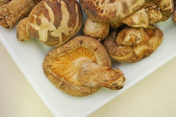 Shitake mushrooms on white plate