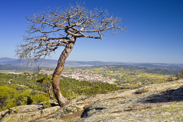 Obraz premium San Martín de Valdeiglesias. Madrid