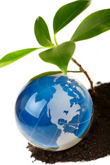 The globe concept eco