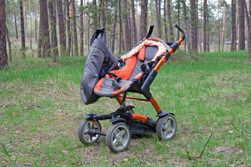 Pram in the forest