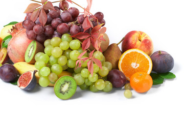 fruit