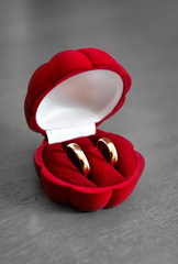 Golden wedding rings