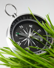 compass in green grass