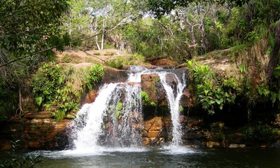cascade et mur de plantes