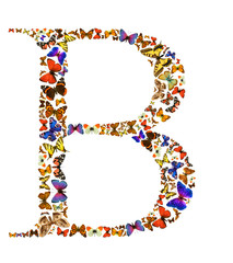Butterfly letter