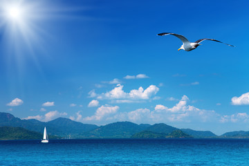 Coastal view