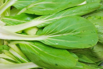Fototapeta premium Green leafy vegetables