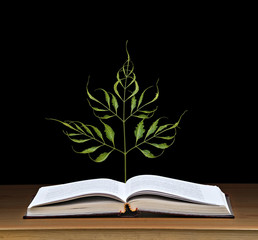 Tree growing from open book