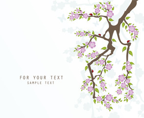 abstract background with sakura branch