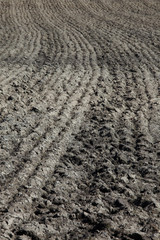 Ploughed field