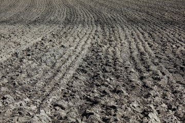 Ploughed field