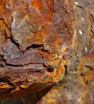 Rost