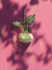 Kohlrabi