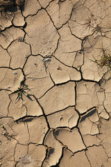 Trockene Erde