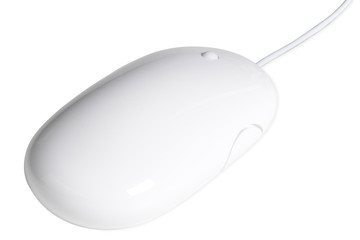 white mouse