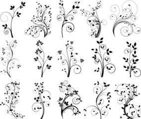 Vector floral elements for design