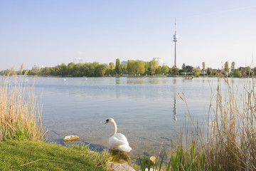 An der Alten Donau