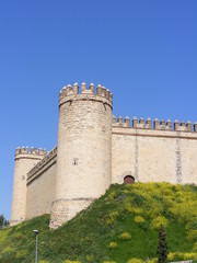 Fototapeta na wymiar Maqueda Castle (Tower)