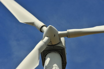Rotor