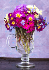 bouquet of flowers in the spring primroses glass pitcher