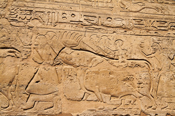 Ägypten, Luxor, Amun Tempel von Luxor.