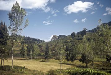 Fototapeta na wymiar Usambara Mountains, Tanzania