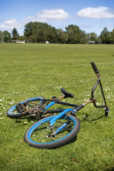 Old rusty bike lying on the grass