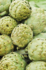 Obraz premium Artischocke