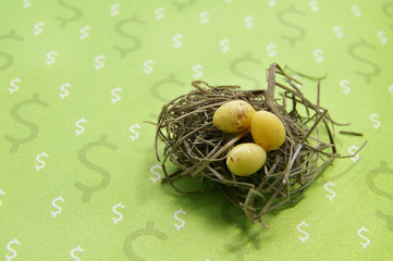 three eggs in a nest on dollar-sign symbols