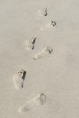 Footprints in the Sand