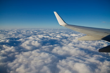 Obraz premium Volare