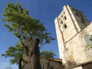 Catedral de Zamora