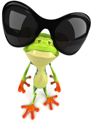 Grenouille et soleil