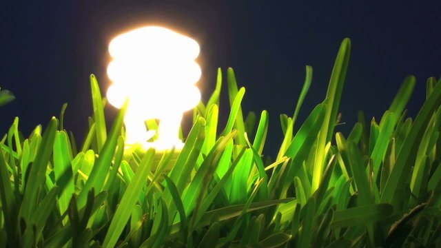 Energy saving light bulb in grass black background V2 - HD